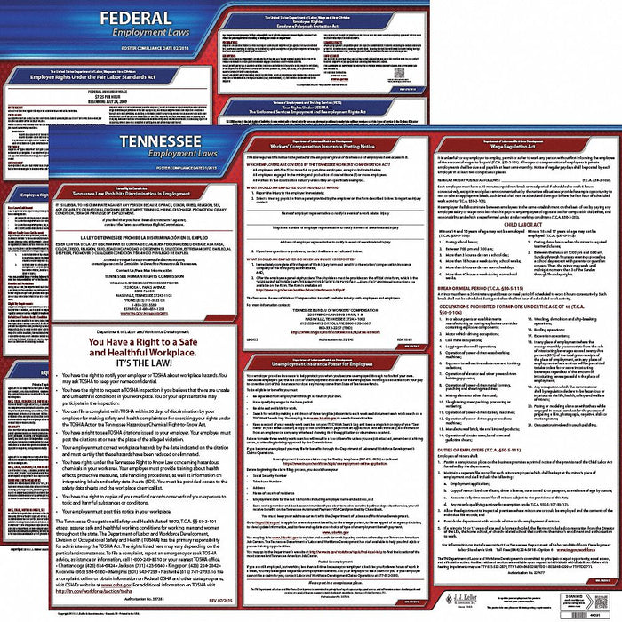 Labor Law Poster English TN Plastic