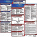 Labor Law Poster English TX Plastic