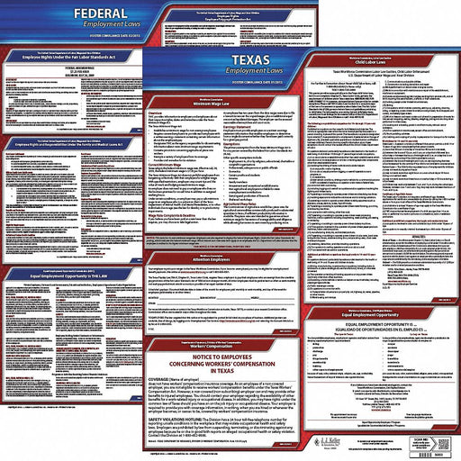 Labor Law Poster English TX Plastic