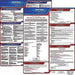Labor Law Poster English VA Plastic
