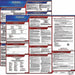 LaborLaw Poster Fed/STA VT ENG 20inH 3yr