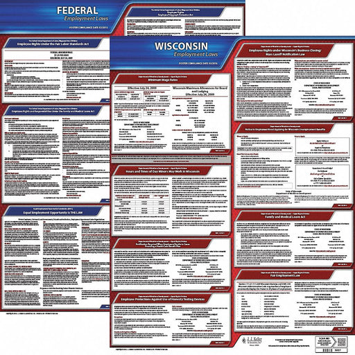 Labor Law Poster English WI Plastic