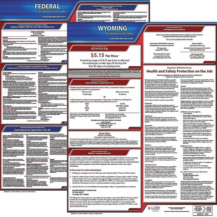 Labor Law Poster Kit WY English 19 in W