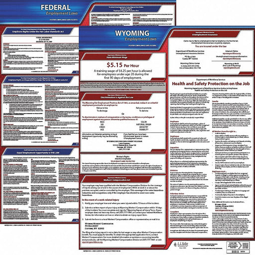 LaborLaw Poster Fed/STA WY ENG 20inH 3yr