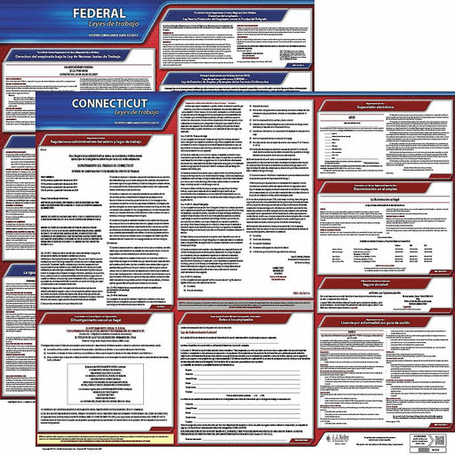 Labor Law Poster Fed/STA CT SP 20inH 3yr