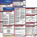 Labor Law Poster Fed/STA CT SP 20inH 3yr