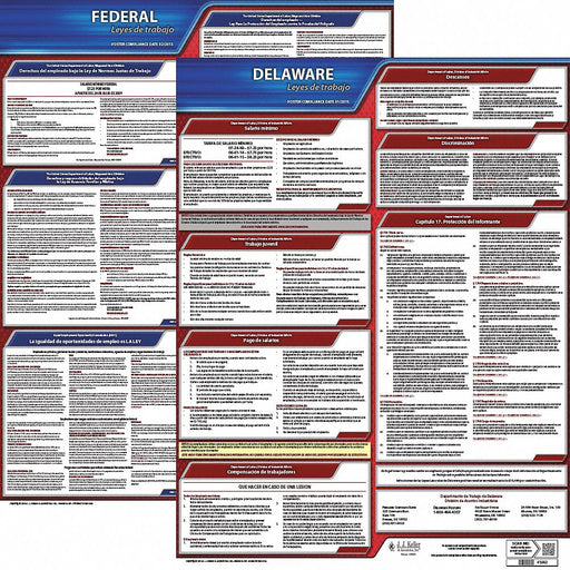 Labor Law Poster Fed/STA DE SP 20inH 3yr
