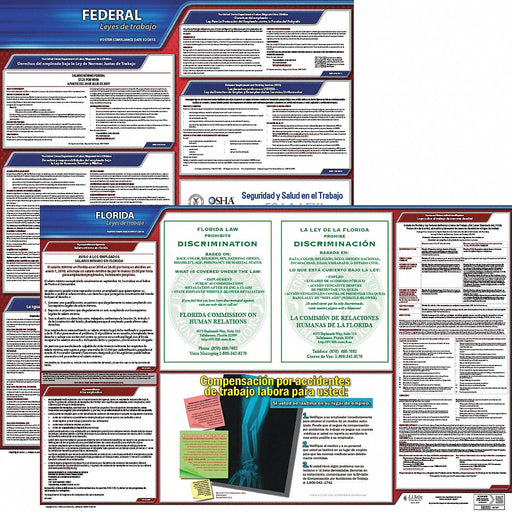Labor Law Poster Spanish FL Plastic