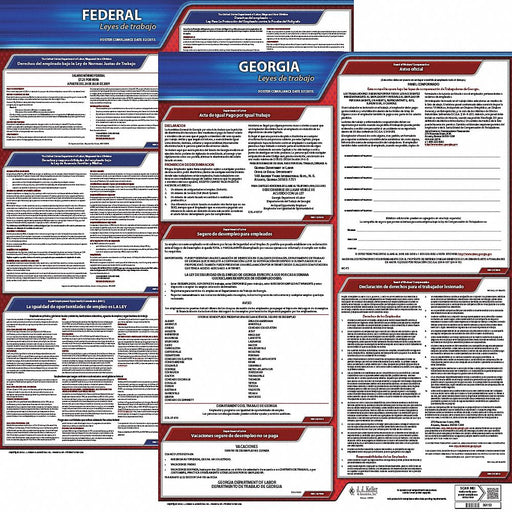 Labor Law Poster Spanish GA Plastic