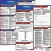 Labor Law Poster Fed/STA GA SP 20inH 1yr
