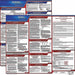 Labor Law Poster Fed/STA HI SP 20inH 1yr