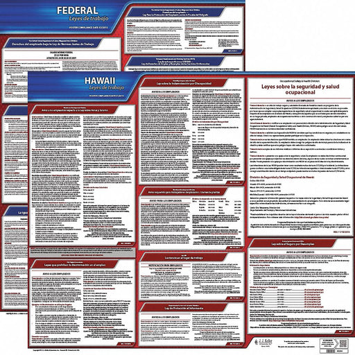 Labor Law Poster Fed/STA HI SP 20inH 3yr
