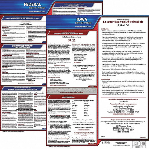 Labor Law Poster Fed/STA IA SP 20inH 1yr