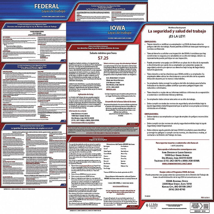 Labor Law Poster Fed/STA IA SP 20inH 1yr