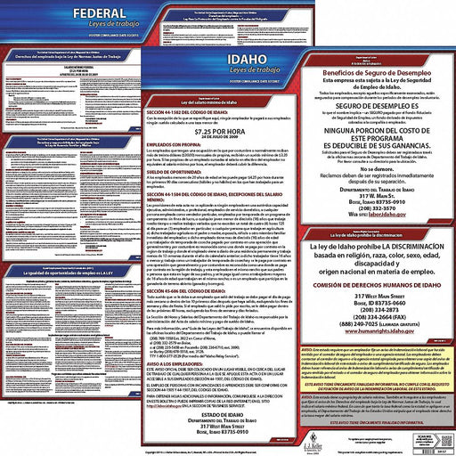 Labor Law Poster Fed/STA ID SP 20inH 3yr