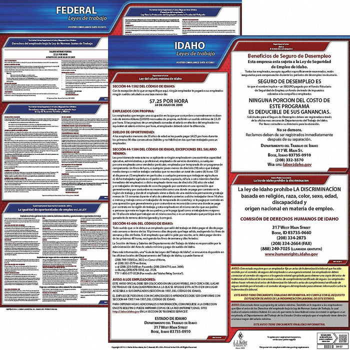 Labor Law Poster Fed/STA ID SP 20inH 1yr