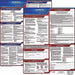 Labor Law Poster Spanish IL Plastic