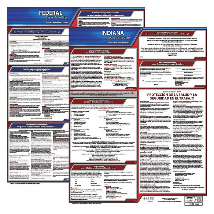 Labor Law Poster Fed/STA IN SP 20inH 3yr