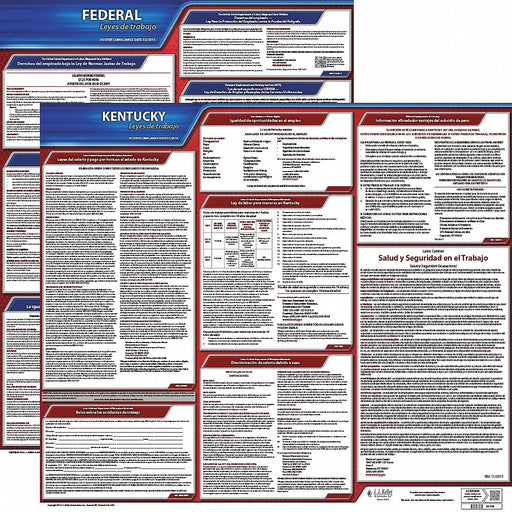 Labor Law Poster Fed/STA KY SP 20inH 3yr
