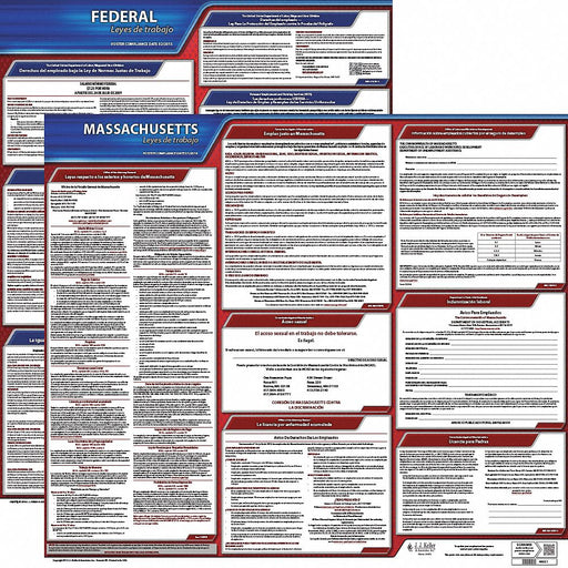 Labor Law Poster Fed/STA MA SP 20inH 3yr