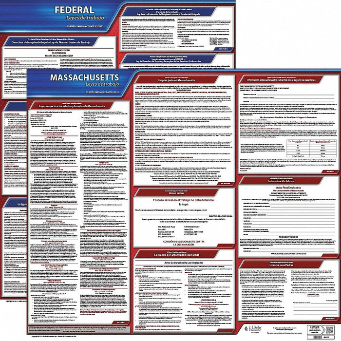 Labor Law Poster Fed/STA MA SP 20inH 1yr