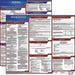Labor Law Poster Fed/STA MA SP 20inH 1yr