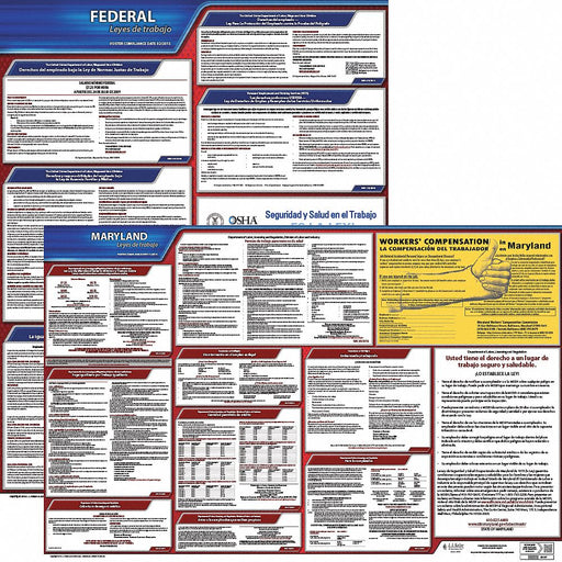 Labor Law Poster Fed/STA MD SP 20inH 3yr