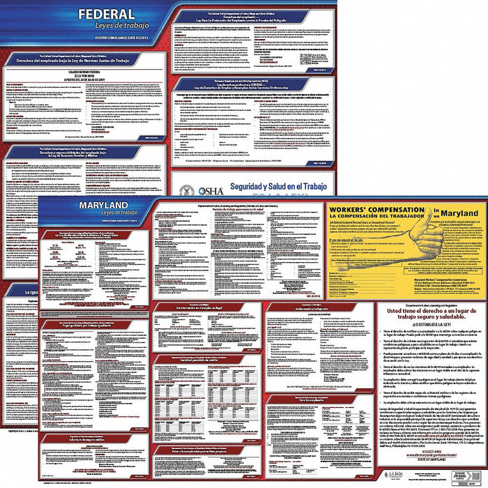 Labor Law Poster Fed/STA MD SP 20inH 1yr