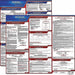 Labor Law Poster Fed/STA MN SP 20inH 1yr