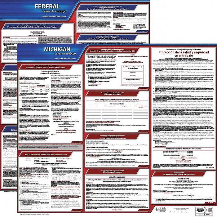 Labor Law Poster Fed/STA MI SP 20inH 3yr