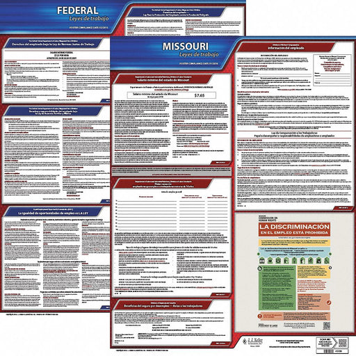 Labor Law Poster Fed/STA MO SP 20inH 1yr
