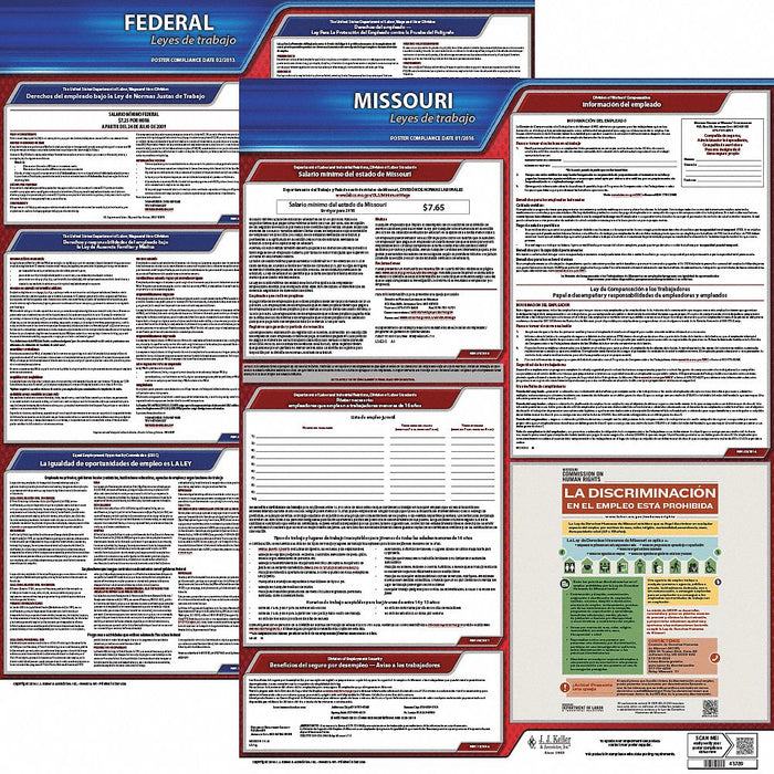 Labor Law Poster Fed/STA MO SP 20inH 1yr