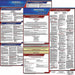 Labor Law Poster Fed/STA MT SP 20inH 1yr