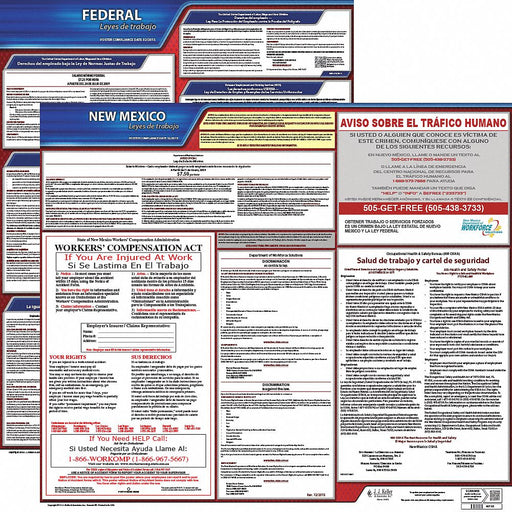 Labor Law Poster Fed/STA NM SP 20inH 1yr