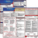 Labor Law Poster Fed/STA NM SP 20inH 1yr