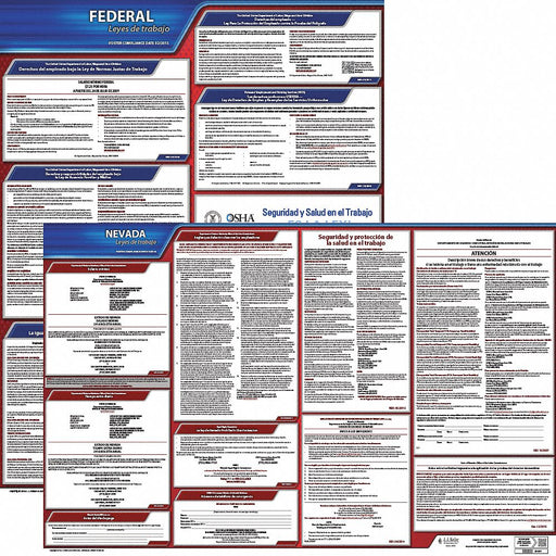 Labor Law Poster Fed/STA NV SP 20inH 3yr