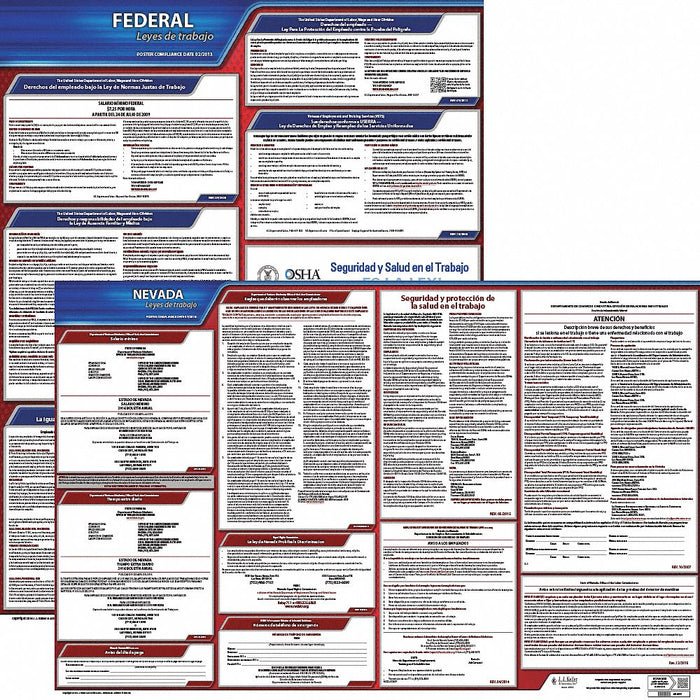 Labor Law Poster Fed/STA NV SP 20inH 3yr