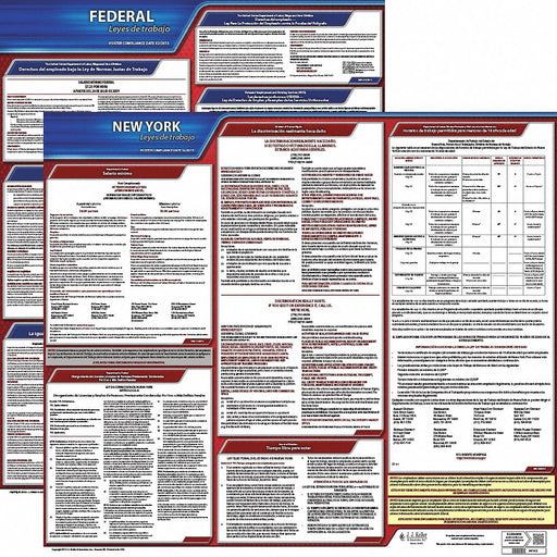 Labor Law Poster Fed/STA NY SP 20inH 1yr
