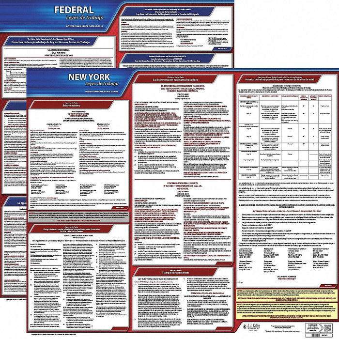 Labor Law Poster Fed/STA NY SP 20inH 1yr