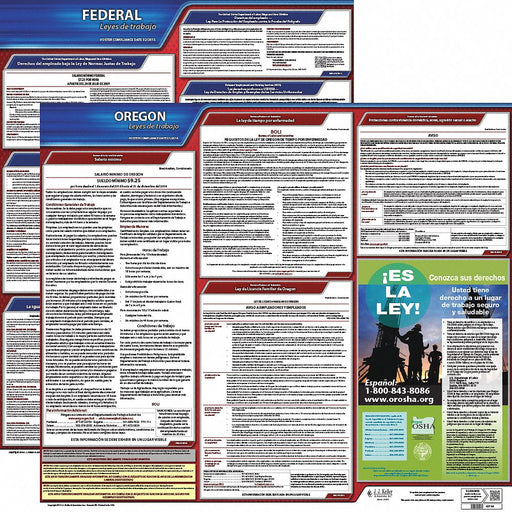 Labor Law Poster Fed/STA OR SP 20inH 3yr