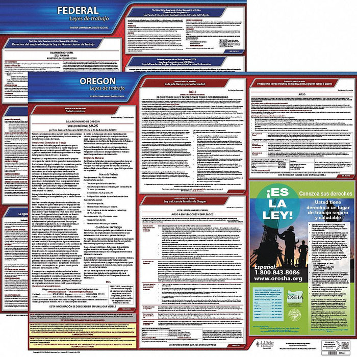 Labor Law Poster Fed/STA OR SP 20inH 3yr