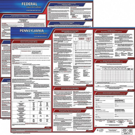 Labor Law Poster Fed/STA PA SP 20inH 1yr