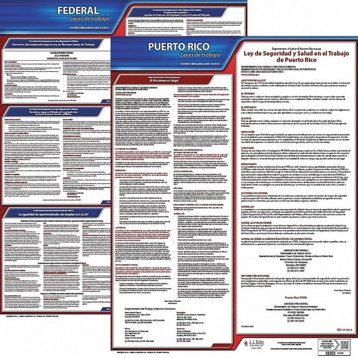 Labor Law Poster Fed/STA PR SP 20inH 3yr