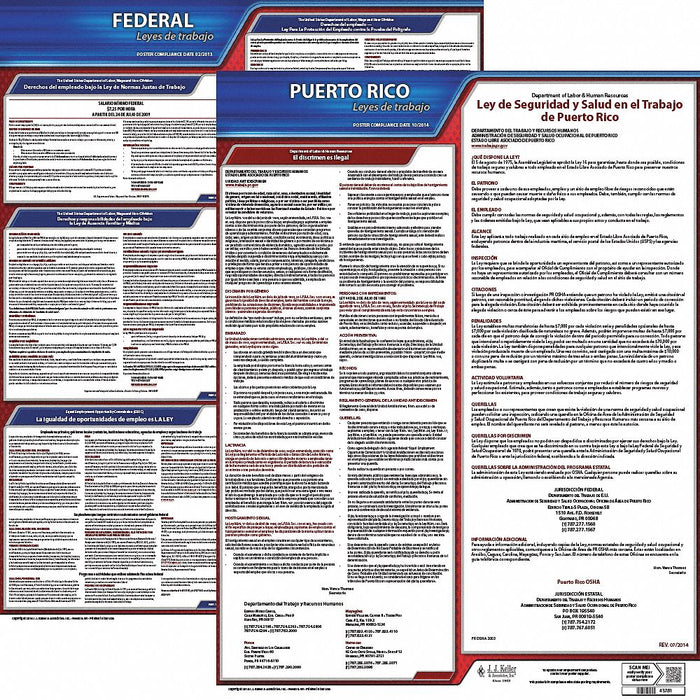 Labor Law Poster Fed/STA PR SP 20inH 3yr