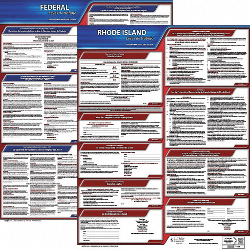 Labor Law Poster Fed/STA RI SP 20inH 1yr