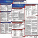 Labor Law Poster Kit SC Spanish 19 in W