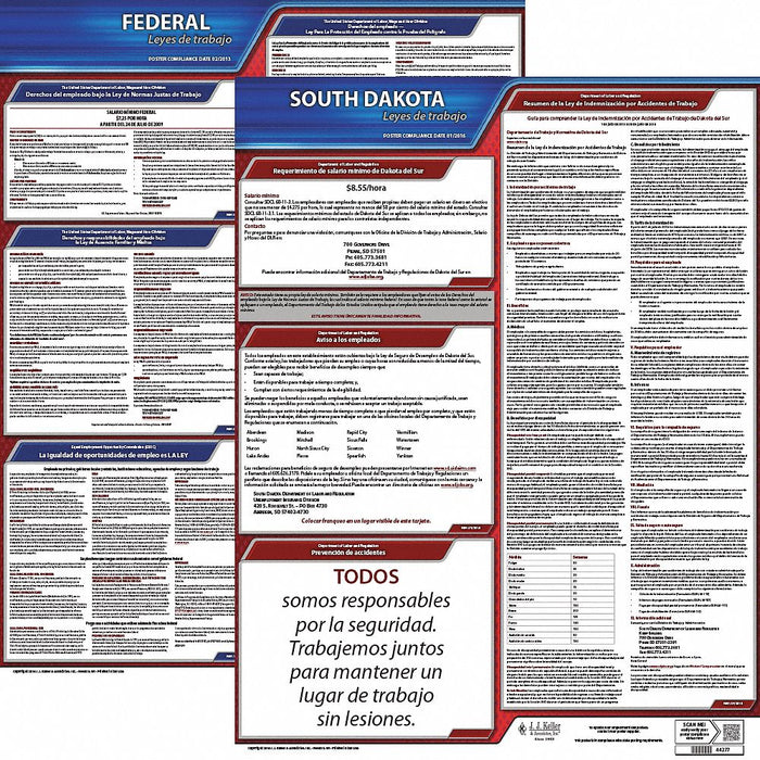 Labor Law Poster Kit SD Spanish 19 in W