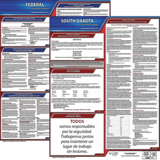 Labor Law Poster Fed/STA SD SP 20inH 1yr