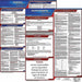 Labor Law Poster Fed/STA SD SP 20inH 3yr