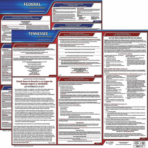 Labor Law Poster Fed/STA TN SP 20inH 1yr